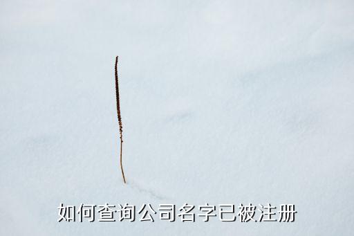 如何查询公司名字已被注册