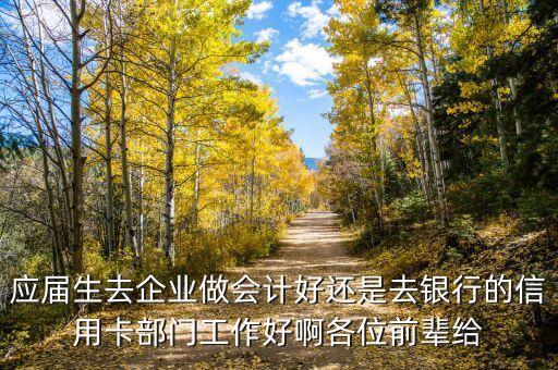 应届生去企业做会计好还是去银行的信用卡部门工作好啊各位前辈给