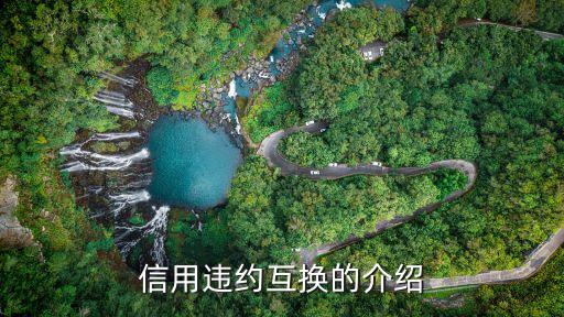 信用互换产品是什么公司，信用违约互换的介绍