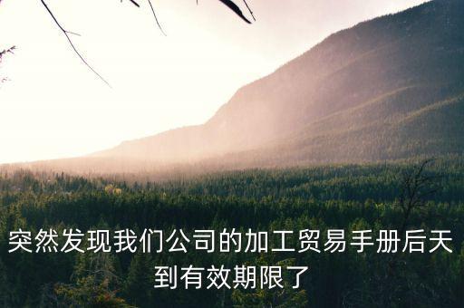 公司信用手册如何办理延期，办手册延期的步骤