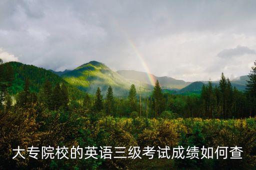大专院校的英语三级考试成绩如何查