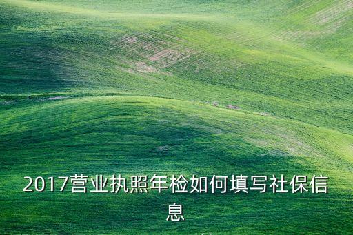 2017营业执照年检如何填写社保信息