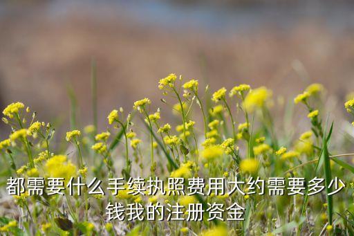 电商个人营业执照注册资金多少钱，个人 网上商城 注册资金要多少
