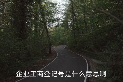 企业工商登记号是什么意思啊