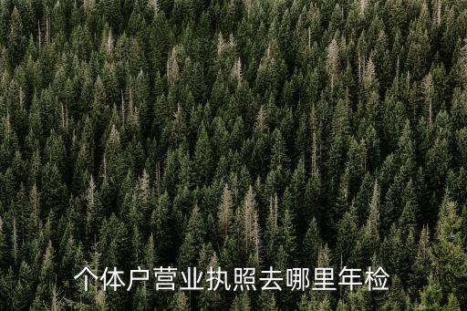 个体户营业执照去哪里年检