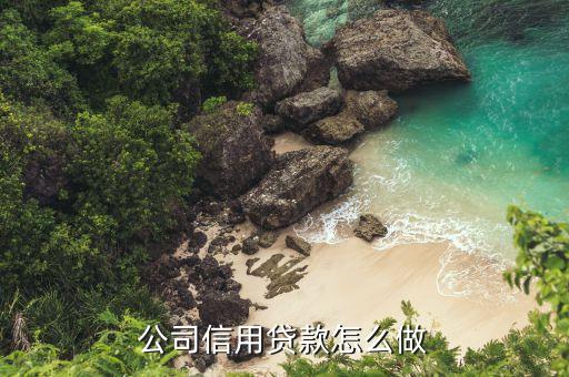 公司信用贷款怎么做