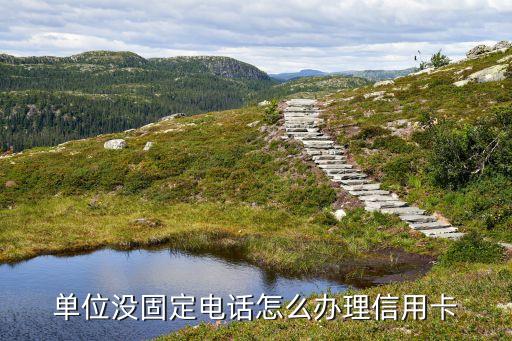 单位没固定电话怎么办理信用卡