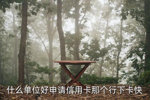 什么单位好申请信用卡那个行下卡快