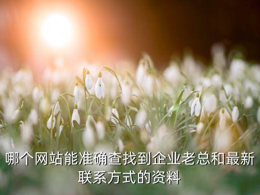 查企业老板电话哪个比较准确呢，哪个网站能准确查找到企业老总和最新联系方式的资料