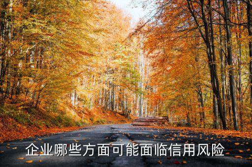 企业哪些方面可能面临信用风险