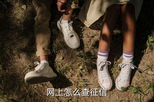 网上怎么查征信