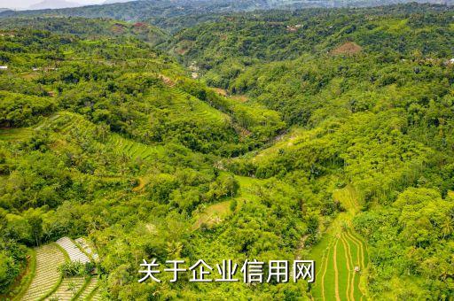 关于企业信用网