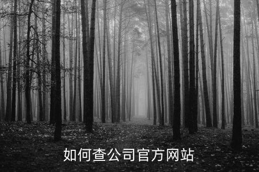 如何查公司官方网站