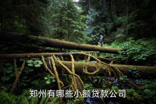 郑州信用贷款公司有哪些，郑州有哪些小额贷款公司