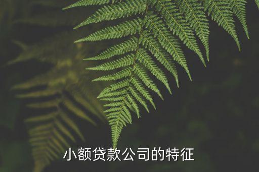 小额贷款公司的特征