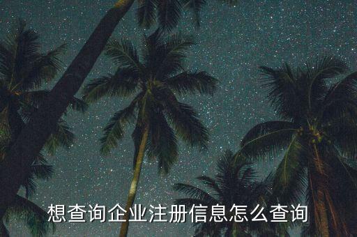 想查询企业注册信息怎么查询