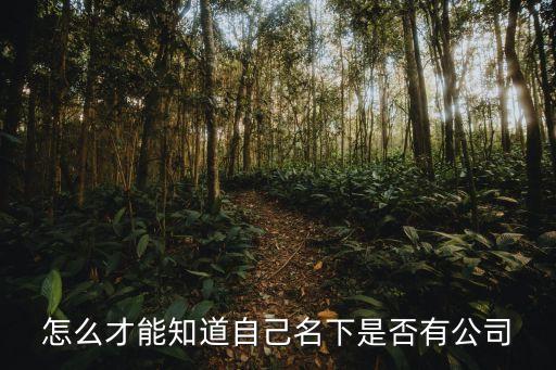 怎么才能知道自己名下是否有公司