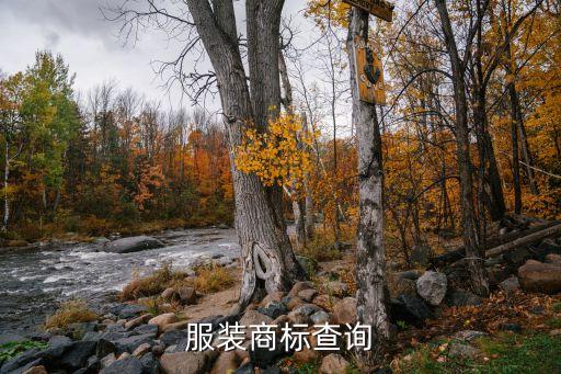 服装商标查询