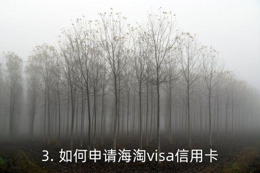 海淘visa信用卡，海外网购必备信用卡