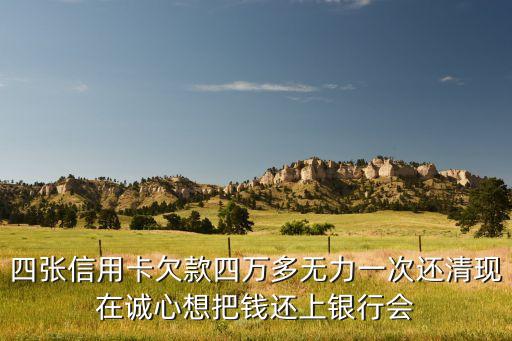 四张信用卡欠款四万多无力一次还清现在诚心想把钱还上银行会
