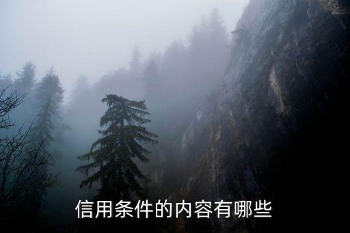 信用条件的内容有哪些