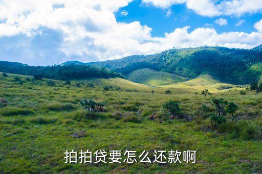 拍拍贷要怎么还款啊