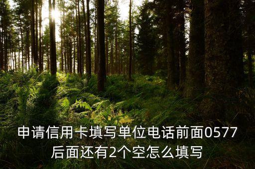 申请信用卡填写单位电话前面0577后面还有2个空怎么填写