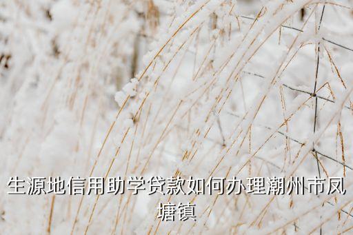 生源地信用助学贷款如何办理潮州市凤塘镇