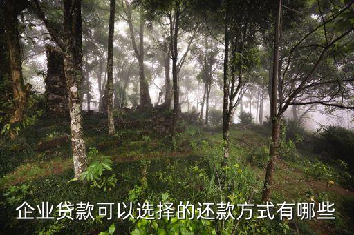 企业贷款可以选择的还款方式有哪些
