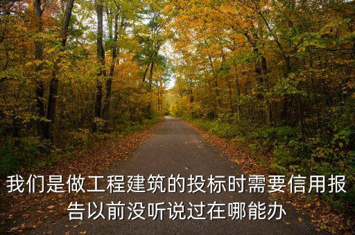 信用资质报告，如何查询信用资质
