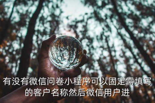 有没有微信问卷小程序可以固定需填写的客户名称然后微信用户进