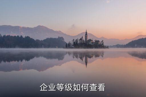 企业等级如何查看