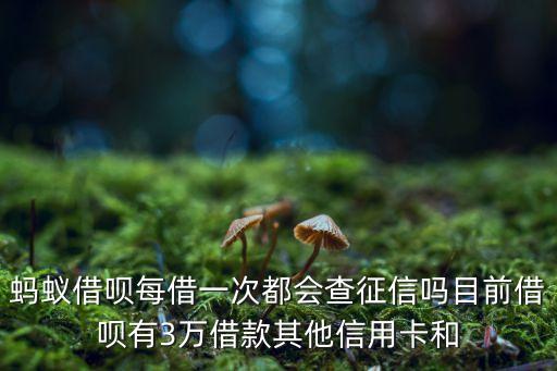 蚂蚁借呗每借一次都会查征信吗目前借呗有3万借款其他信用卡和