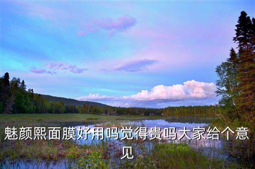 魅颜熙面膜好用吗觉得贵吗大家给个意见