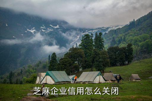 芝麻企业信用怎么关闭