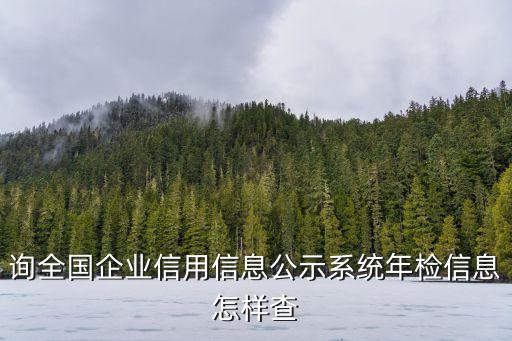 企业信用公示怎么查年报，全国企业信用信息公示系统可以查年报吗