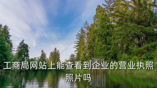 哪里可以查到企业营业执照图片，工商局网站上能查看到企业的营业执照照片吗
