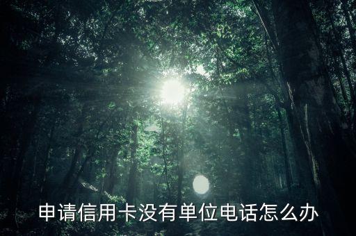 申请信用卡没有单位电话怎么办