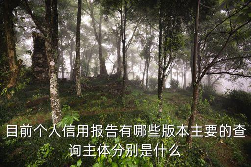 目前个人信用报告有哪些版本主要的查询主体分别是什么