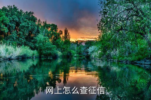 网上怎么查征信