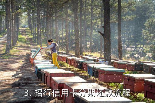招行信用卡分期怎么还款，招行信用卡分期还款方法详解