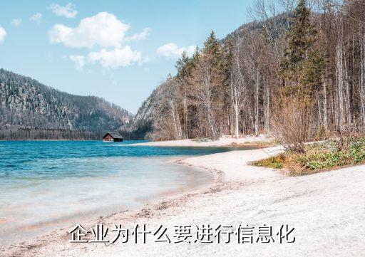 企业为什么要进行信息化