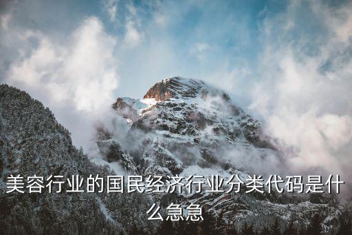 美容行业的国民经济行业分类代码是什么急急