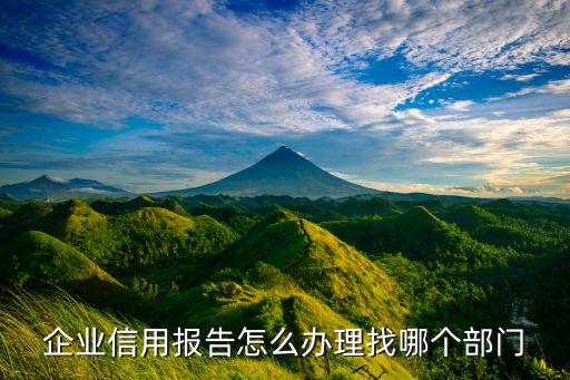 企业信用报告怎么办理找哪个部门