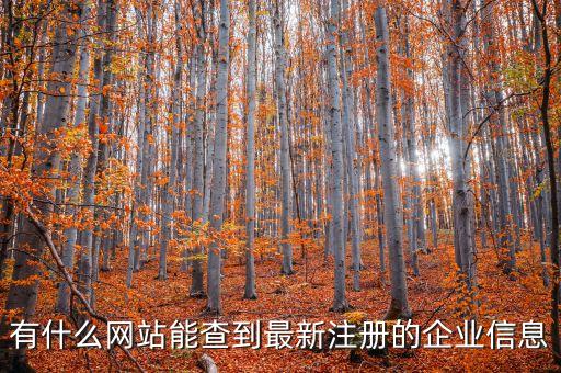 有什么网站能查到最新注册的企业信息