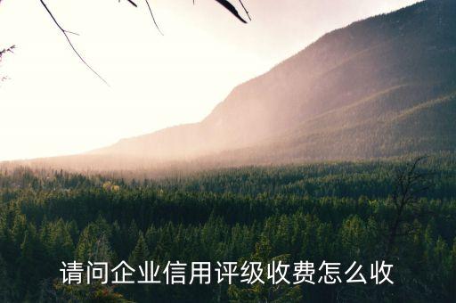 请问企业信用评级收费怎么收