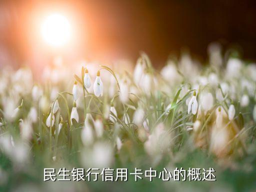 民生银行信用卡中心的概述