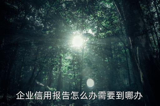 企业信用报告怎么办需要到哪办