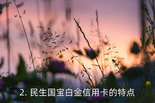 民生国宝白金信用卡，民生银行白金信用卡：全方位满足您的生活需求