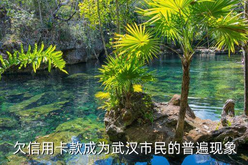 欠信用卡款成为武汉市民的普遍现象